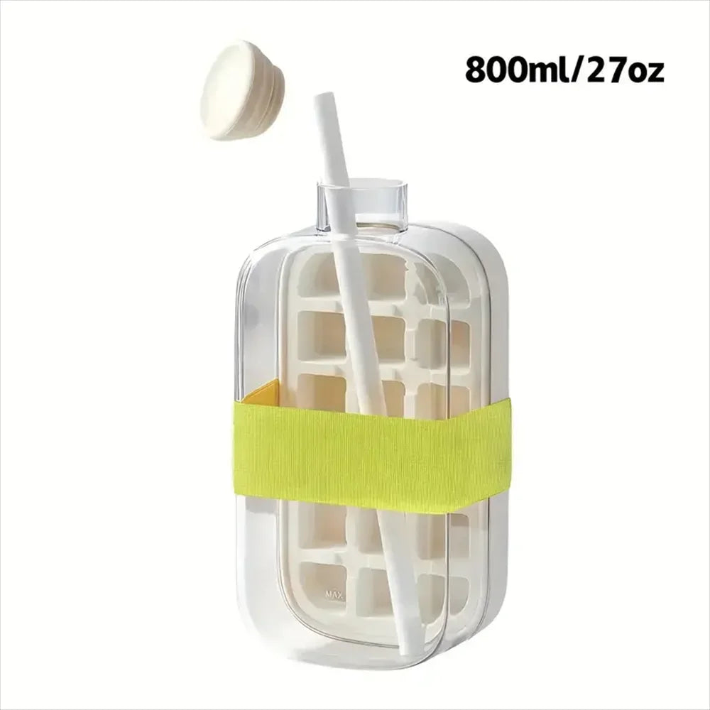 Ice Cube Water Bottle with Straw